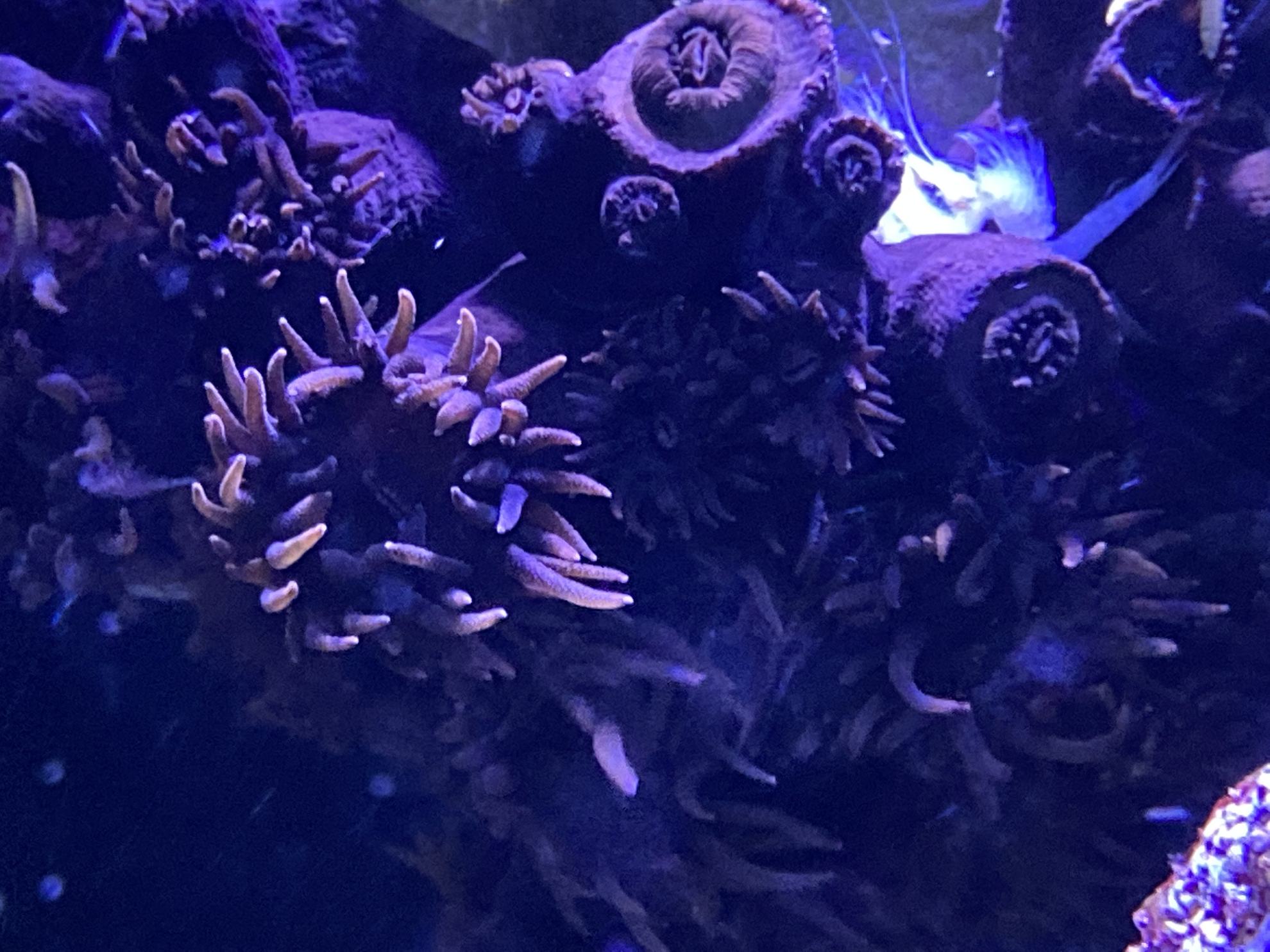 aCloud the AquaCalculator backend Journals